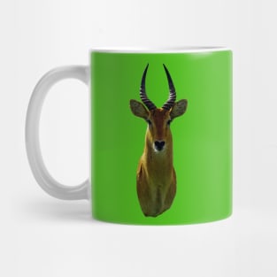 Antelope An Animal Portrait Mug